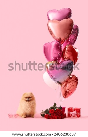 Cute Pomeranian dog with bouquet of red roses, gift box and heart-shaped balloons on pink background. Valentine's Day celebration