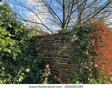 Garden design fence from rods with green leafs. Horizontal weaving