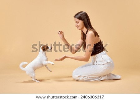 Playful, adorable Jack Russell Terrier follows commands of young woman, happy owner sitting next to her against beige studio background. Concept of animal, pet lover, friendship, companionship. Royalty-Free Stock Photo #2406306317