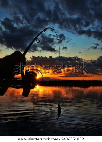 Fishing at sunset. Catching predatory fish on spinning. Sunset colors on the water surface, sunny path from the low sun. Perch caught on yellow spoonbait Royalty-Free Stock Photo #2406351859