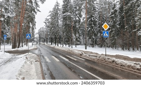 In the park area, there is a crosswalk marked with markings and signs on an asphalt road among pine and spruce trees. In winter, everything is covered with snow, but the road and sidewalks are cleaned