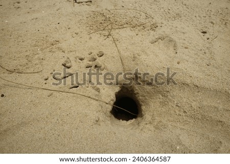 A crab hole found in Manggar Beach Royalty-Free Stock Photo #2406364587