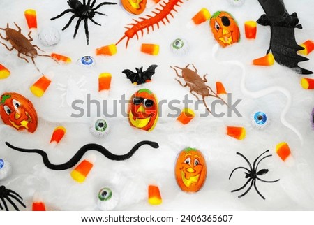 Halloween Trick or Treats on a White Webbing	