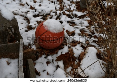Snow on a basketball in a yard