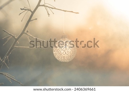 Christmas ball on tree outdoors, creative photo, new year, christmas. Color of the Year 2024 Peach Fuzz. Selective focus