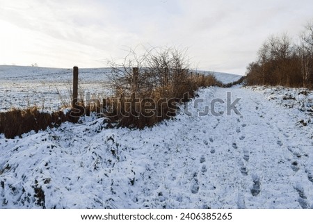 Winter white snow blue sky outdoor countryside fields nature beautiful view panorama landscape background