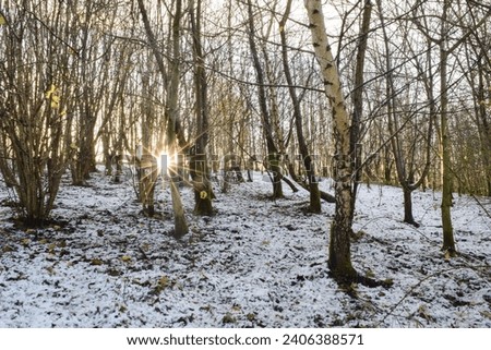 Winter countryside outdoor park beautiful view white snow blue sky forest trees panorama landscape background cold day fresh air healthy lifestyle walk explore travel lovely nature