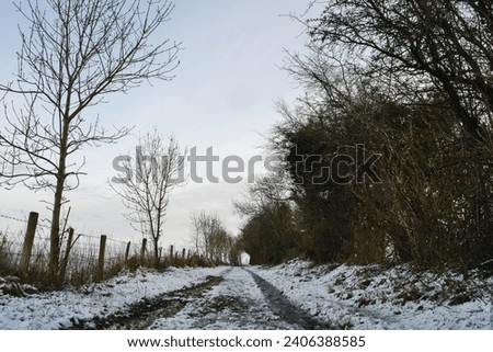 Winter countryside outdoor park beautiful view white snow blue sky forest trees panorama landscape background cold day fresh air healthy lifestyle walk explore travel lovely nature