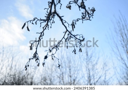 Winter countryside outdoor park beautiful view white snow blue sky forest trees panorama landscape background cold day fresh air healthy lifestyle walk explore travel lovely nature tree branches view