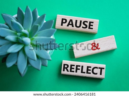 Pause and Reflect symbol. Concept words Pause and Reflect on wooden blocks. Beautiful green background with succulent plant. Business and Pause and Reflect concept. Copy space.