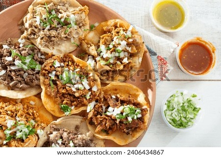 A top down view of a variety of street tacos on a plate.
