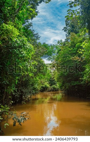 Amazon River under partly cloudy sky, surrounded by lush jungle in Leticia, Amazonas, Colombia Royalty-Free Stock Photo #2406439793