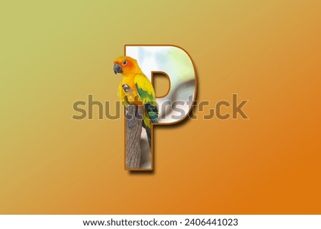 The letter P is embedded with a picture of the animal Parrot. Great animal background.