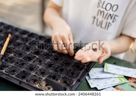 Gardener sowing seeds into seedling trays, while sitting by the table outdoors, close-up Royalty-Free Stock Photo #2406448261