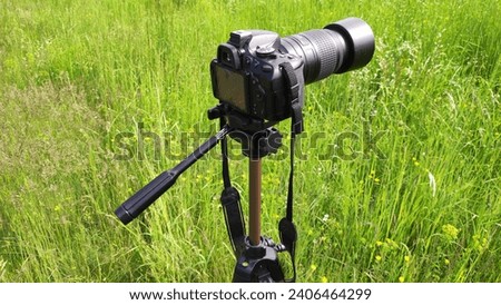 photo camera (single-lens reflex camera, SLR) on the background of green grass, taking pictures of nature, in the bosom of nature, nature photography Royalty-Free Stock Photo #2406464299