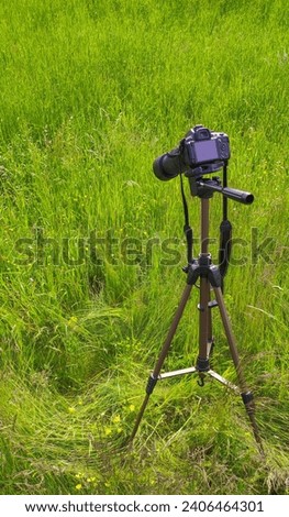 photo camera (single-lens reflex camera, SLR) on the background of green grass, taking pictures of nature, in the bosom of nature, nature photography Royalty-Free Stock Photo #2406464301