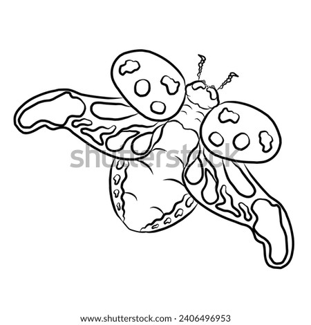 Set of Bug vector illustration for coloring book or clipart isolated on white background.Elements for printing on sticker or children book .Hand drawn vector.