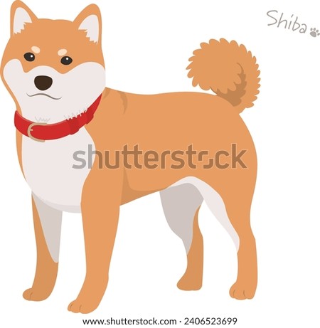 Shiba Inu redhead vector illustration