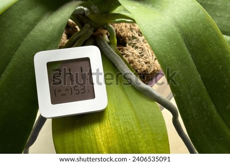 Hygrometer and orchid. The hygrometer displays humidity and temperature near the orchid flower. Royalty-Free Stock Photo #2406535091
