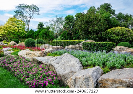 Flowers and plant decorate in garden. Royalty-Free Stock Photo #240657229