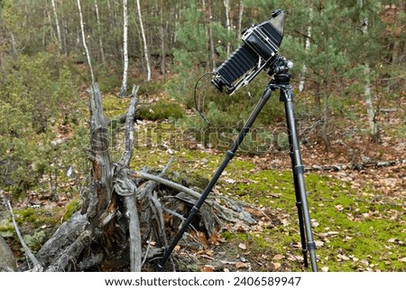 Large format view camera on a tripod in the forest taking photos of a tree stump. Analog photography hobby.