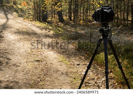 Large format view camera on a tripod standing on a forest road. Analog photography hobby.