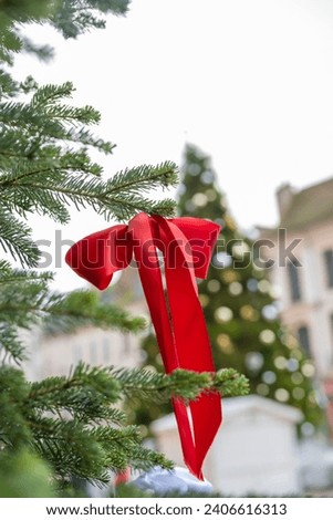 red bow tied on the branch of a fir tree outdoors