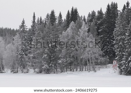 Landscapes in winter. Village and trees during the snowy period. Frozen lake. Jämtland forest.