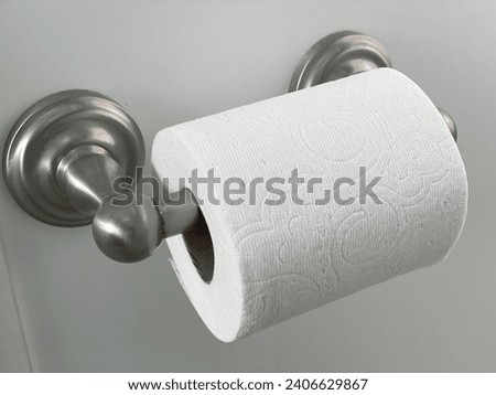 Close-up shot of a brushed nickle toilet paper holder, complete with a partial roll of white tissue, and a light grey wall as the background.