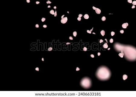 Falling Down Rose Petals on dark black background photo for wedding, romance, love and Valentines day