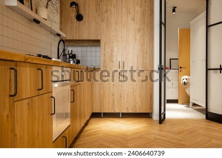 Photo of stylish kitchen interior made in wooden materials of modern studio apartment. Oak kitchen facades and metal arch door