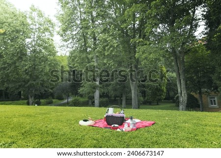 picnic basket grass field . Resolution and high quality beautiful photo
