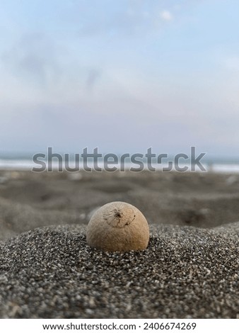 the small ball went into the sea sand