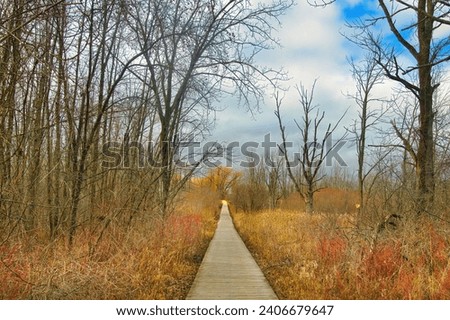 Early Winter landscape of a long wooden boardwalk passing through a marsh and a forest of bare trees at Lion's Den Gorge, near Grafton, Wisconsin. Royalty-Free Stock Photo #2406679647