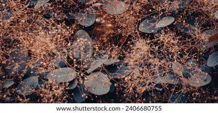 Close up bright blossom bush with raindrops concept photo. Growing plants in morning garden. Royal purple smoke bush, smoke tree and purple smoke tree. High quality picture for wallpaper Royalty-Free Stock Photo #2406680755