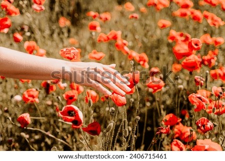 Woman hand poppies field. Close up of woman hand touching poppy flower in a field.