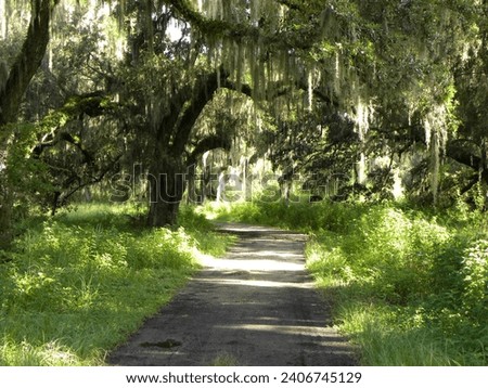 A landscape photograph created at the Circle B Bar Reserve in Polk County, Florida. 