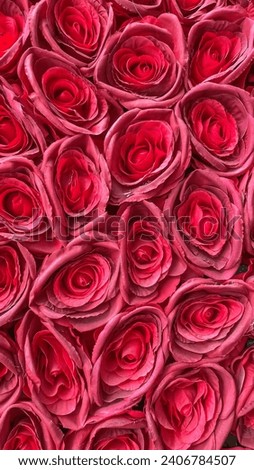 Background of red roses, top view. Valentine's Day background.Top view.