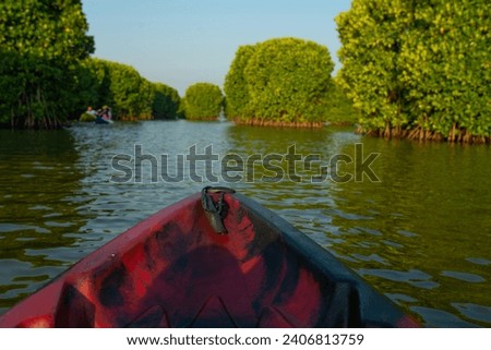 Kayaking through mangrove forest, Kayaking photo from Kavvayi Island Kannur Royalty-Free Stock Photo #2406813759