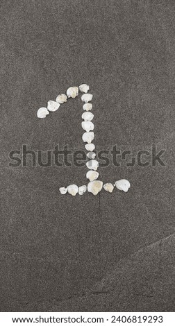 make a picture of the number 1 made from an arrangement of shells on the sand
