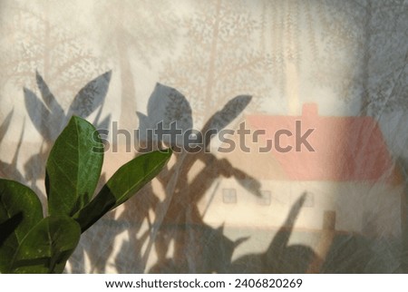 Picture of house behind the curtain and with flower Zamioculcas with shadows