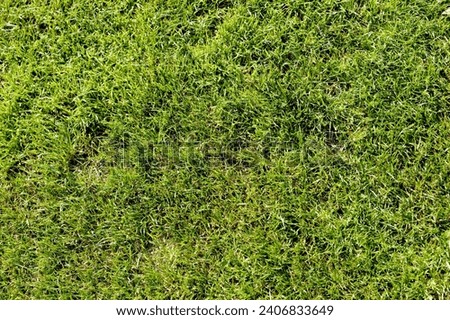 Football lawn - Soccer closeup detail wallpaper texture. Green football grass background. Soccer stadium field. Perfect green grass.