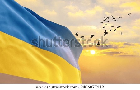 Waving flag of Ukraine against the background of a sunset or sunrise. Ukraine flag for Independence Day. The symbol of the state on wavy fabric.