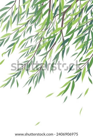 Summer background with weeping willow tree branches and green leaves on white. Fresh foliage in spring and summer season. Simple vector flat illustration.
