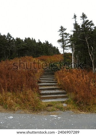Stairs on a Vermont mountainside Royalty-Free Stock Photo #2406907289