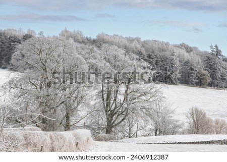 Snow Covered trees and fields in the Scottish Borders