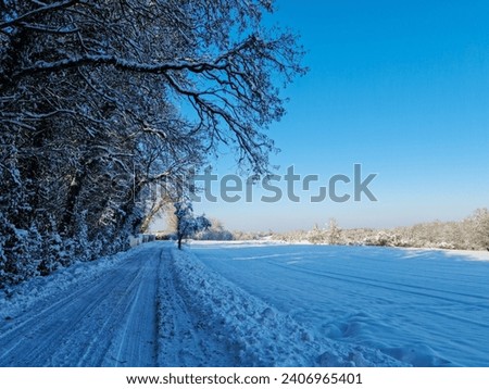 A road in the forest on a sunny day after a snowfall