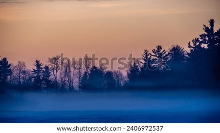 Scenic view of trees on a cold foggy morning in February with a beautiful sunrise in the background.