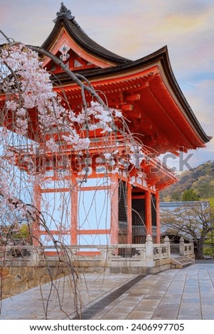 Kiyomizu-dera templein Kyoto, Japan with beauiful full bloom sakura cherry blossom in spring Royalty-Free Stock Photo #2406997705