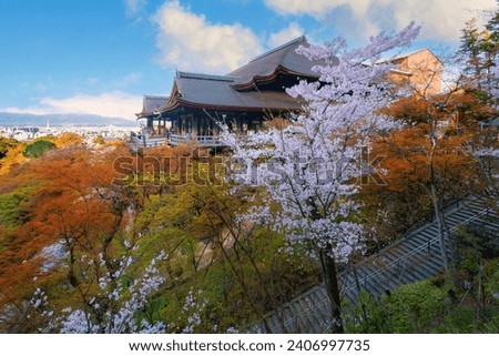 Kiyomizu-dera templein Kyoto, Japan with beauiful full bloom sakura cherry blossom in spring Royalty-Free Stock Photo #2406997735